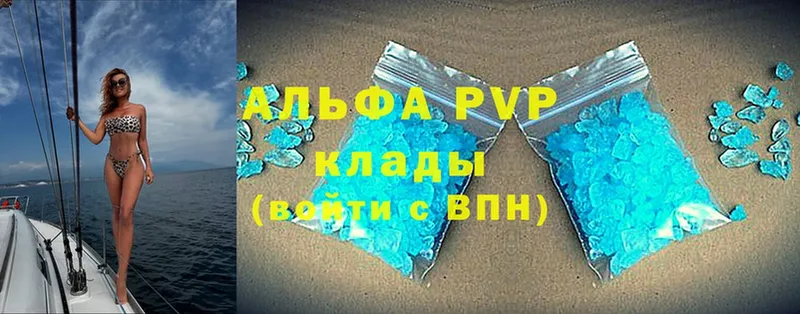 Alfa_PVP СК  Калининград 